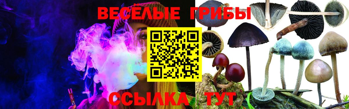 Псилоцибиновые грибы ЛСД  Вход с VPN  Электросталь 